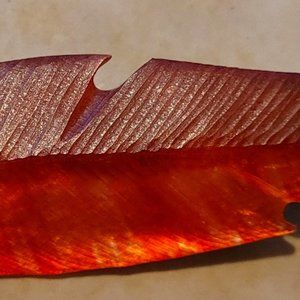 Alexis Bittar Feather Brooch